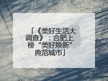 《美好生活大调查》：合肥上榜“美好焕新”典范城市