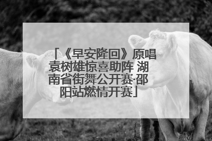 《早安隆回》原唱袁树雄惊喜助阵 湖南省街舞公开赛·邵阳站燃情开赛