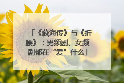 《藏海传》与《折腰》：男频剧、女频剧都在“爱”什么