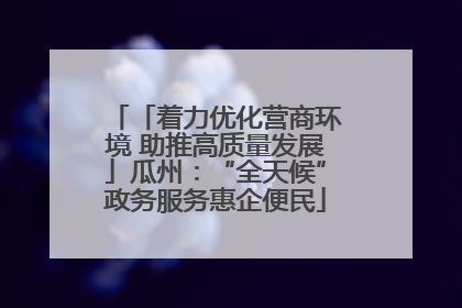 「着力优化营商环境 助推高质量发展」瓜州：“全天候”政务服务惠企便民