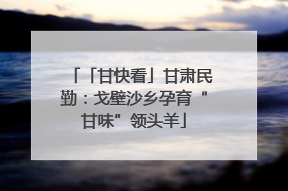 「甘快看」甘肃民勤：戈壁沙乡孕育“甘味”领头羊