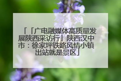 「广电融媒体高质量发展陕西采访行」陕西汉中市：徐家坪铁路风情小镇 出站就是景区