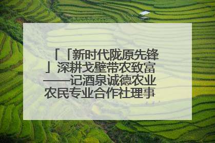 「新时代陇原先锋」深耕戈壁带农致富——记酒泉诚德农业农民专业合作社理事长范立德