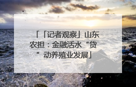 「记者观察」山东农担：金融活水“贷”动养殖业发展