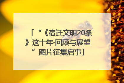“《宿迁文明20条》这十年·回顾与展望”图片征集启事