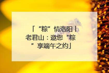 “粽”情洛阳丨老君山：邀您“粽”享端午之约