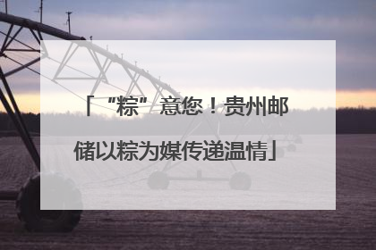 “粽”意您！贵州邮储以粽为媒传递温情