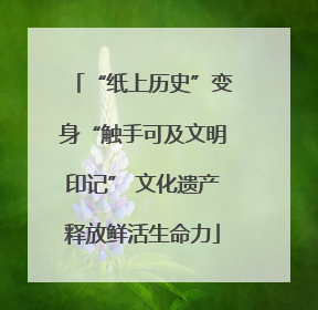 “纸上历史”变身“触手可及文明印记” 文化遗产释放鲜活生命力