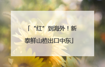 “红”到海外！新泰鲜山楂出口中东