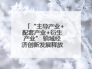 “主导产业+配套产业+衍生产业” 镇域经济创新发展释放强劲发展动能