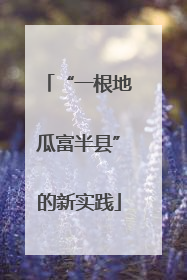 “一根地瓜富半县”的新实践