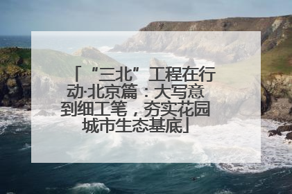 “三北”工程在行动·北京篇：大写意到细工笔，夯实花园城市生态基底
