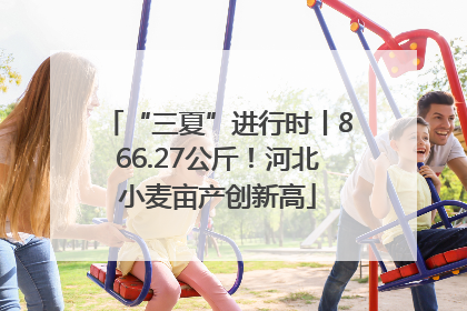“三夏”进行时丨866.27公斤！河北小麦亩产创新高