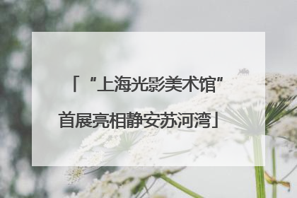 “上海光影美术馆”首展亮相静安苏河湾