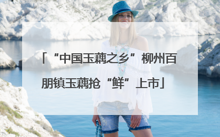 “中国玉藕之乡”柳州百朋镇玉藕抢“鲜”上市