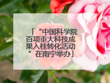 “中国科学院百项重大科技成果入桂转化活动”在南宁举办