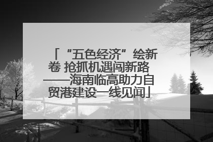 “五色经济”绘新卷 抢抓机遇闯新路——海南临高助力自贸港建设一线见闻