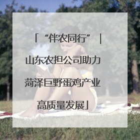 “伴农同行”｜山东农担公司助力菏泽巨野蛋鸡产业高质量发展