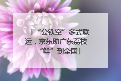 “公铁空”多式联运，京东助广东荔枝“鲜”到全国