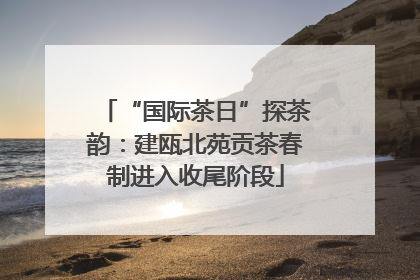 “国际茶日”探茶韵：建瓯北苑贡茶春制进入收尾阶段