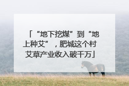 “地下挖煤”到“地上种艾”，肥城这个村艾草产业收入破千万