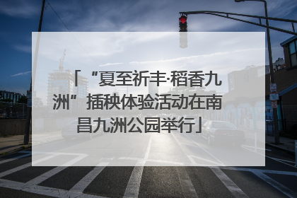 “夏至祈丰·稻香九洲”插秧体验活动在南昌九洲公园举行