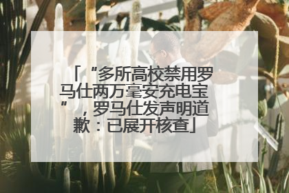 “多所高校禁用罗马仕两万毫安充电宝”，罗马仕发声明道歉：已展开核查