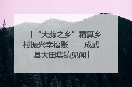 “大蒜之乡”精算乡村振兴幸福账——成武县大田集镇见闻