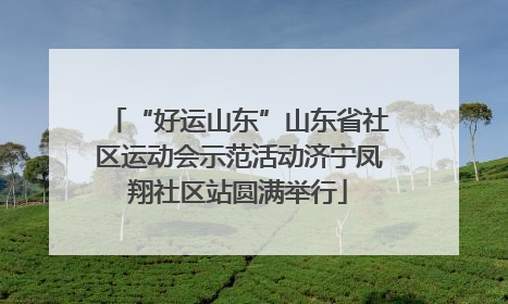 “好运山东”山东省社区运动会示范活动济宁凤翔社区站圆满举行