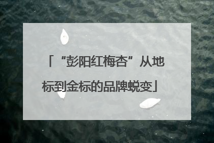 “彭阳红梅杏”从地标到金标的品牌蜕变