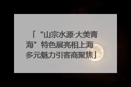 “山宗水源·大美青海”特色展亮相上海 多元魅力引客商聚焦