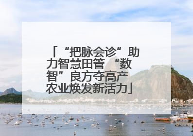 “把脉会诊”助力智慧田管 “数智”良方夺高产 农业焕发新活力