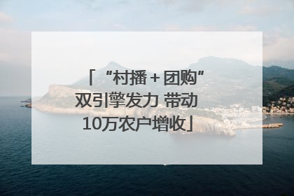 “村播＋团购”双引擎发力 带动10万农户增收