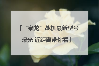 “枭龙”战机最新型号曝光 近距离带你看