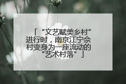 “文艺赋美乡村”进行时，南京江宁佘村变身为一座流动的“艺术村落”