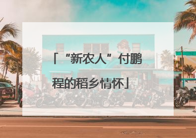 “新农人”付鹏程的稻乡情怀