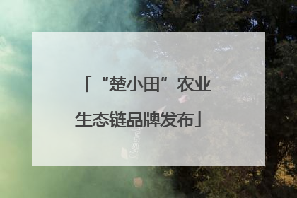 “楚小田”农业生态链品牌发布