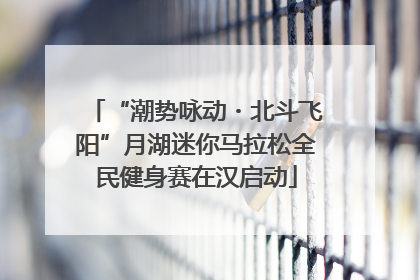 “潮势咏动・北斗飞阳”月湖迷你马拉松全民健身赛在汉启动