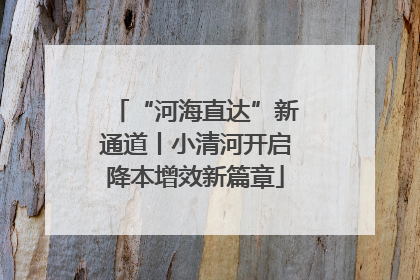“河海直达”新通道丨小清河开启降本增效新篇章