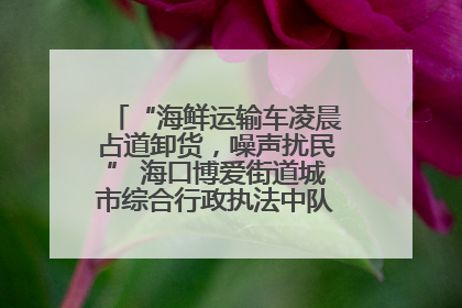 “海鲜运输车凌晨占道卸货，噪声扰民” 海口博爱街道城市综合行政执法中队：将联合交警加强长堤路一带巡逻