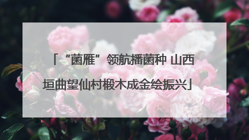 “菌雁”领航播菌种 山西垣曲望仙村椴木成金绘振兴
