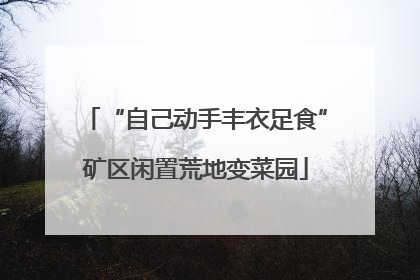 “自己动手丰衣足食”矿区闲置荒地变菜园