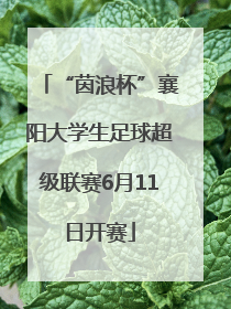 “茵浪杯”襄阳大学生足球超级联赛6月11日开赛