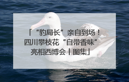 “豹局长”亲自到场！四川攀枝花“自带香味”亮相西博会丨图集