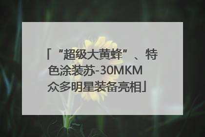 “超级大黄蜂”、特色涂装苏-30MKM 众多明星装备亮相