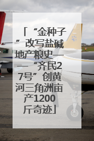 “金种子”改写盐碱地产粮史——“齐民27号”创黄河三角洲亩产1200斤奇迹