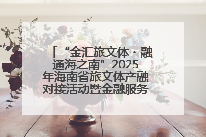 “金汇旅文体・融通海之南”2025年海南省旅文体产融对接活动暨金融服务中心成立仪式举行