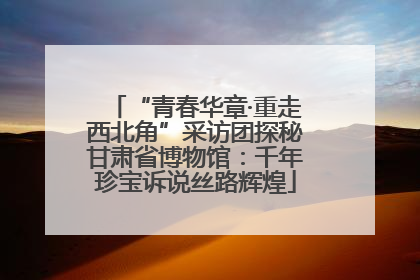 “青春华章·重走西北角”采访团探秘甘肃省博物馆：千年珍宝诉说丝路辉煌
