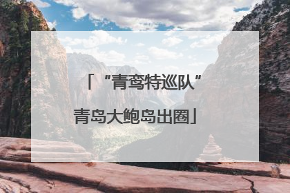 “青鸾特巡队”青岛大鲍岛出圈