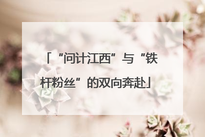 “问计江西”与“铁杆粉丝”的双向奔赴